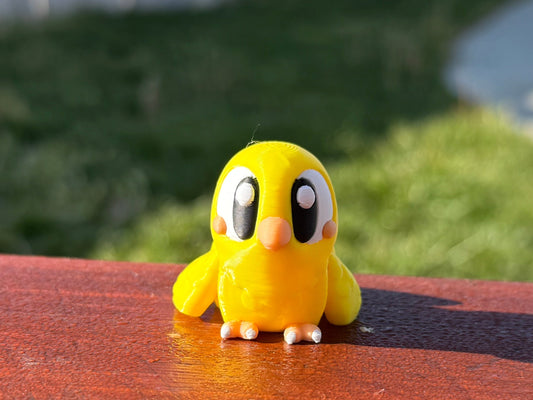 Sunny the Baby Chick