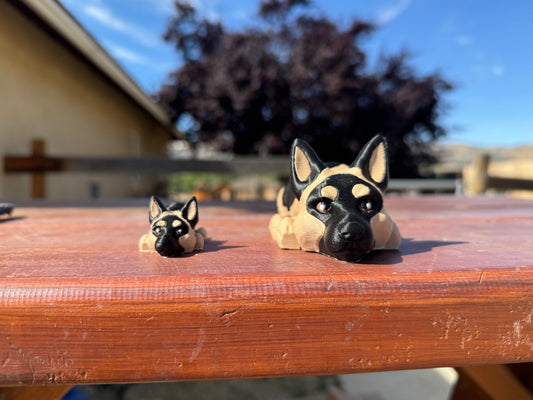 German Shepherd
