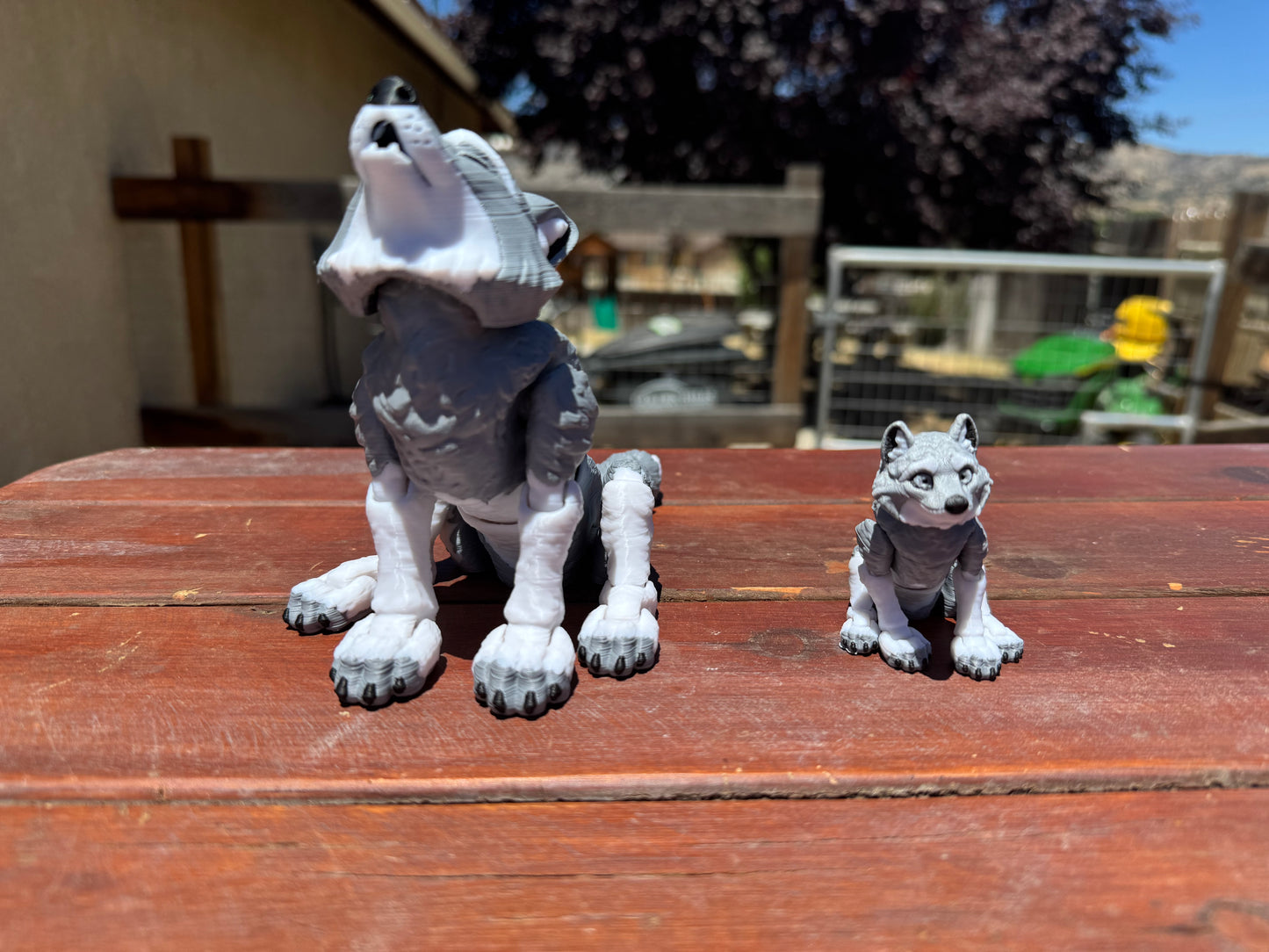 Wolf