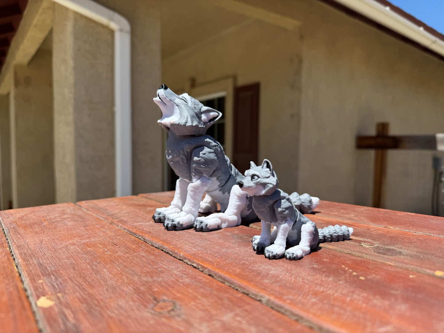 Wolf