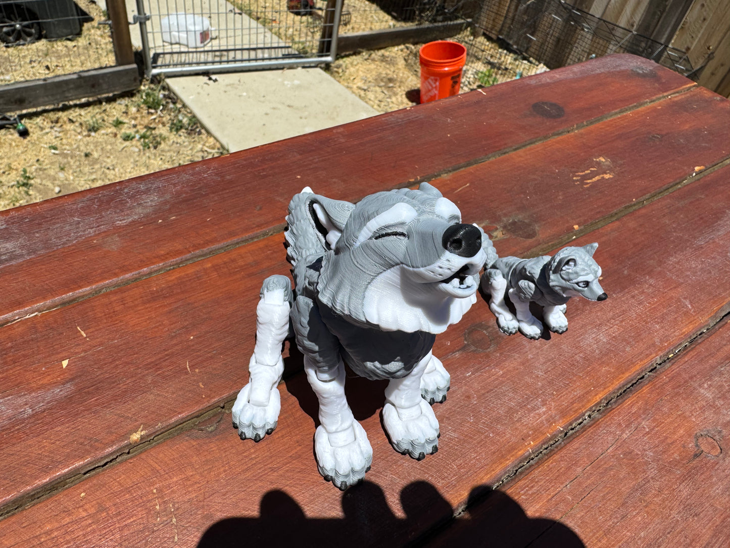 Wolf