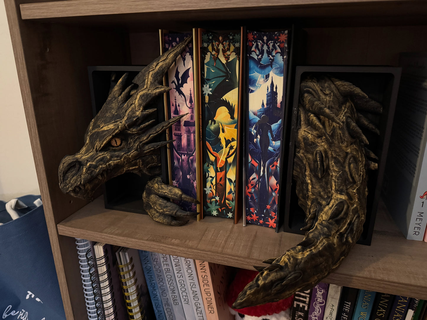Storm Dragon Book Nook