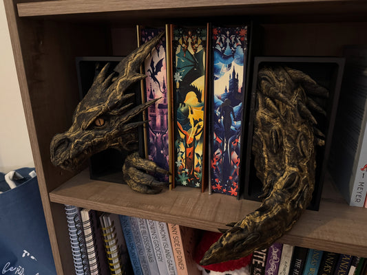 Storm Dragon Book Nook
