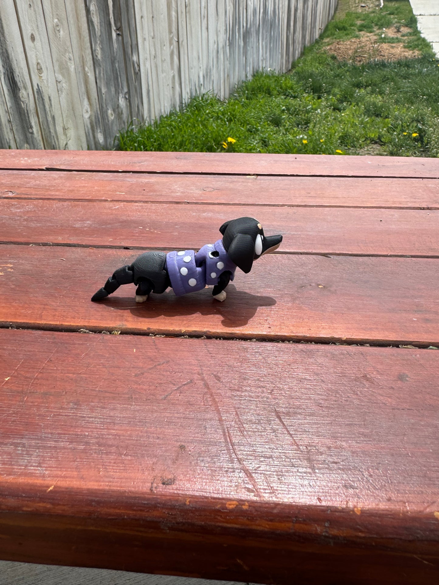 Springtime Dachshund
